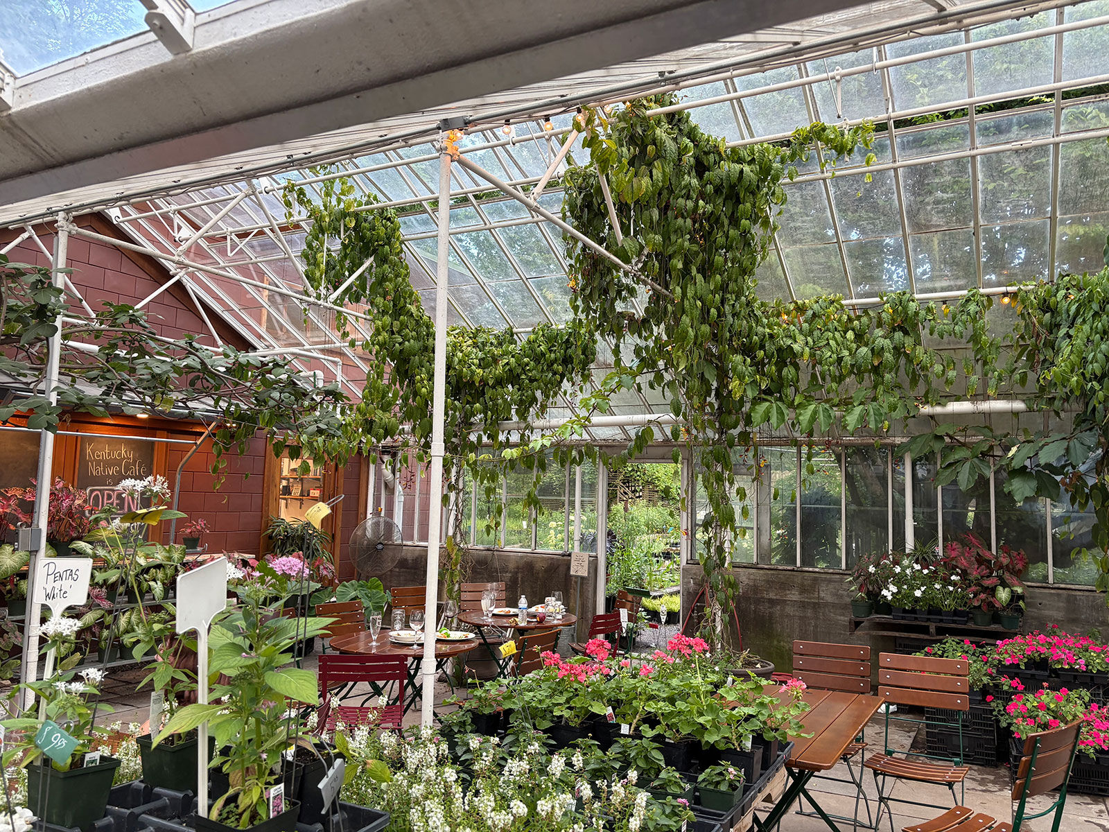 Inside Kentucky Native Cafe